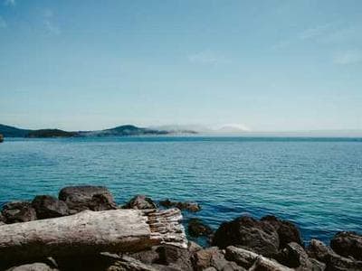 Huisdier Accessoires